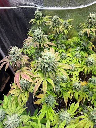 Growreport Bild 15