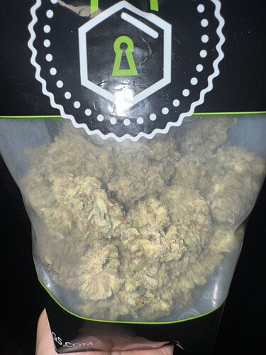 Growreport Bild 11