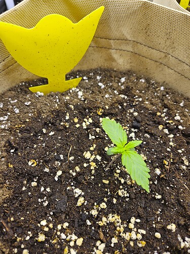 Growreport Bild 16