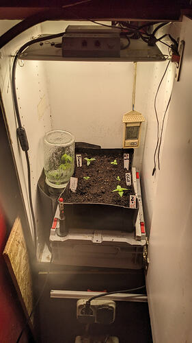 PXL_20260404_201806409