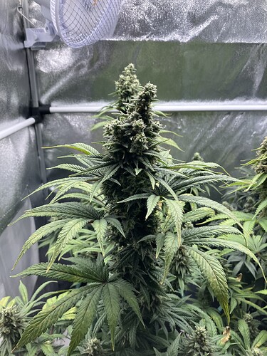 Growreport Bild 10