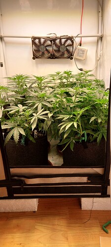 Growreport Bild 2