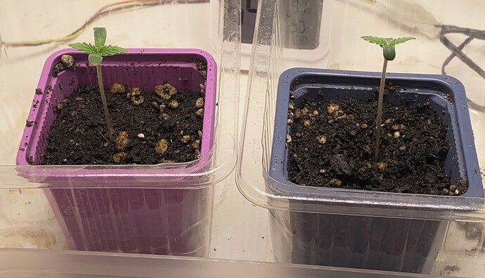 Growreport Bild 15