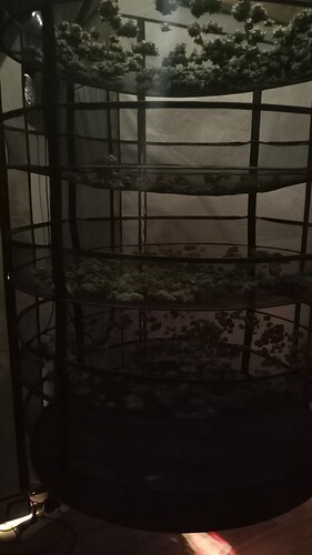 Growreport Bild 7