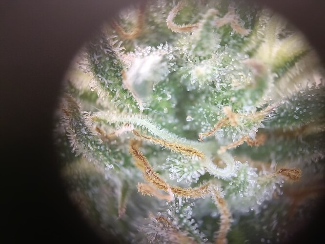 Growreport Bild 22