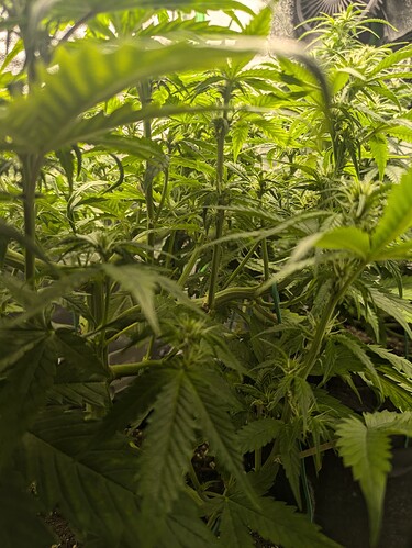Growreport Bild 6