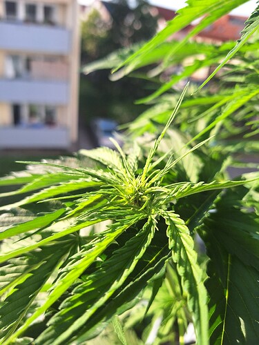 Growreport Bild 15
