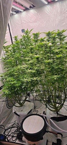 Growreport Bild 9