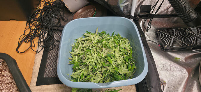 Growreport Bild 11