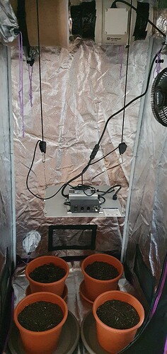 Growreport Bild 1