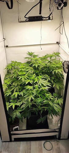 Growreport Bild 1
