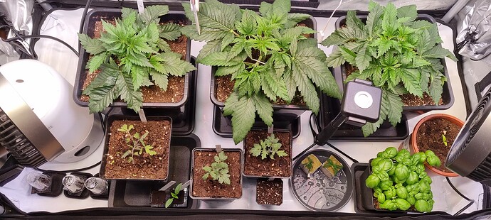 Growreport Bild 19