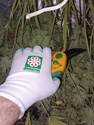 Growreport Bild 4