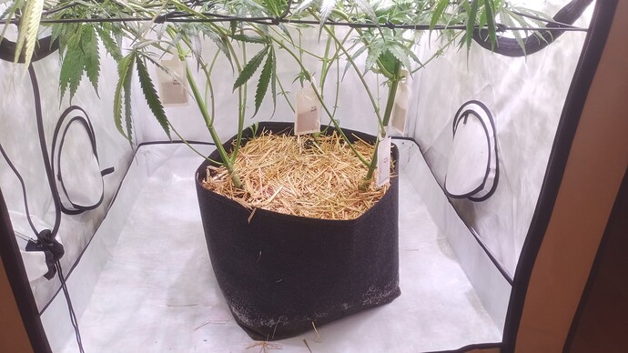 Growreport Bild 2