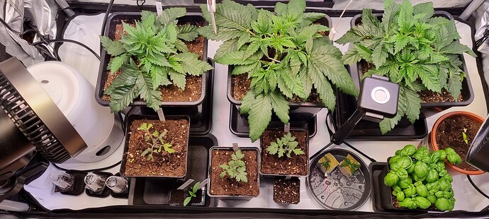 Growreport Bild 20
