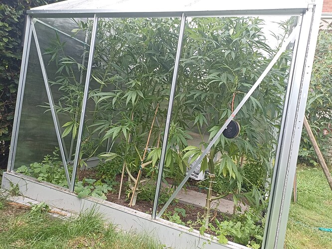 WhatsApp Bild 2024-08-05 um 10.55.30_e1c3d87f