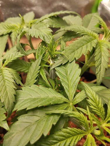 Growreport Bild 12