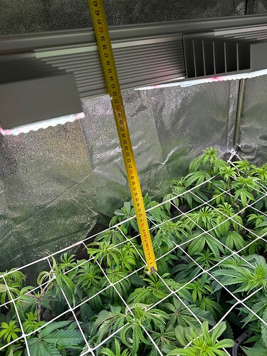 Growreport Bild 34