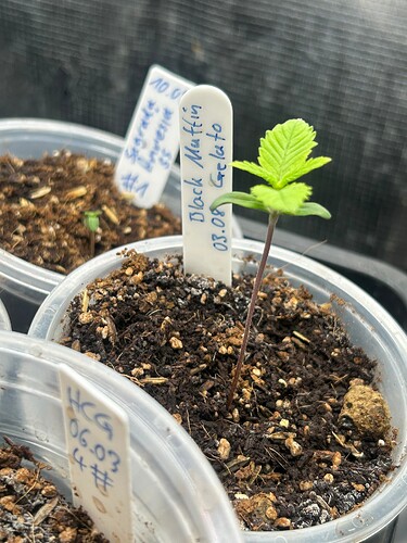 Growreport Bild 20
