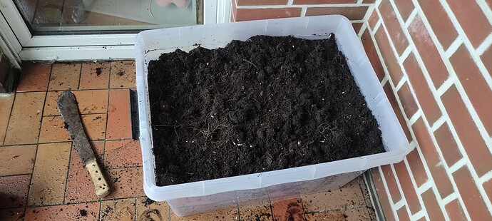 Growreport Bild 5