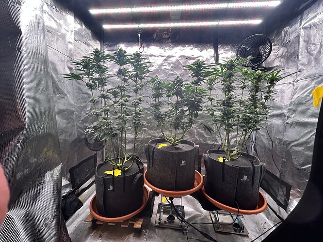 Growreport Bild 27
