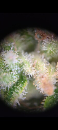 Screenshot_20240805-222359