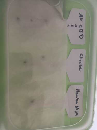 Growreport Bild 4