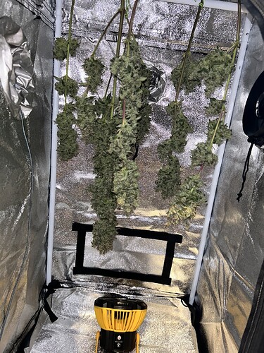 Growreport Bild 5