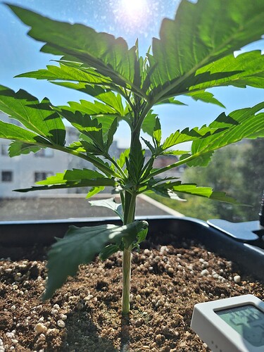 Growreport Bild 18