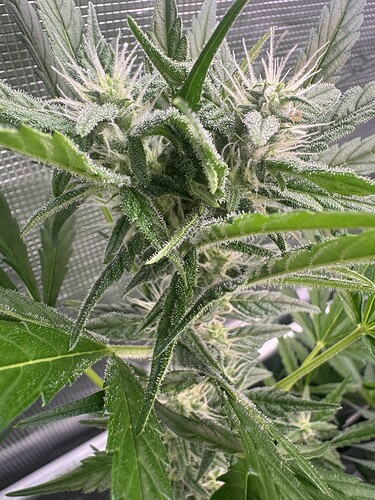Growreport Bild 12