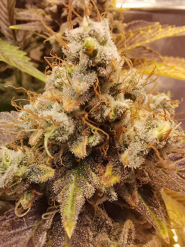 Growreport Bild 10