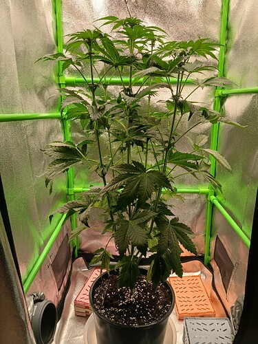 Growreport Bild 12