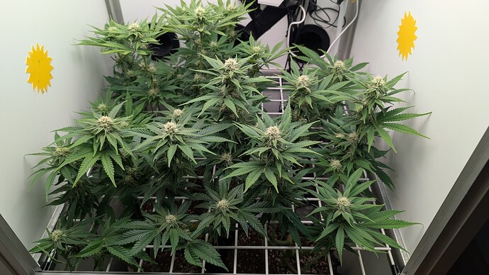 Growreport Bild 10