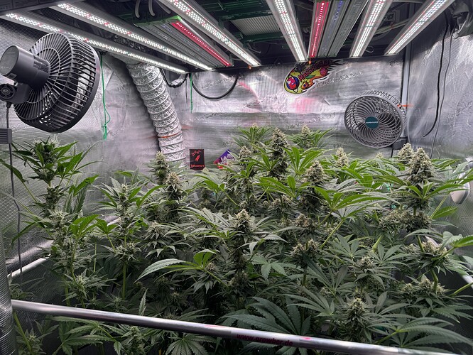 Growreport Bild 15