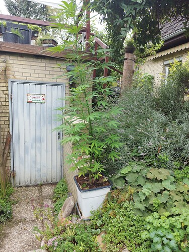 Growreport Bild 7