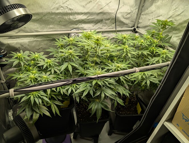 Growreport Bild 3