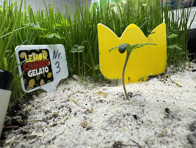 Growreport Bild 5