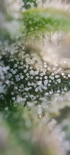 Growreport Bild 22