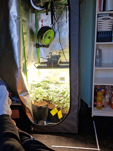 Growreport Bild 2