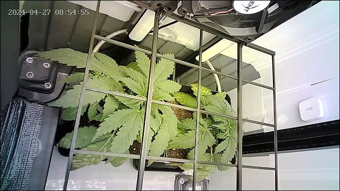 Growreport Bild 1
