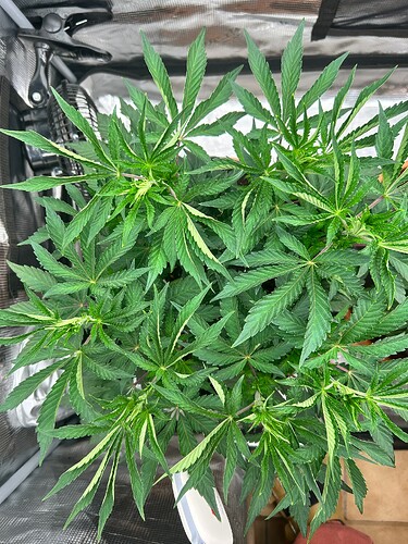 Growreport Bild 14