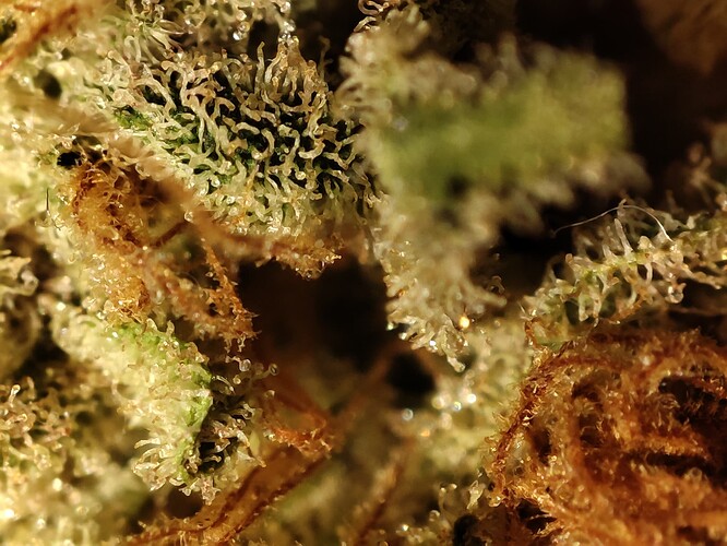 Growreport Bild 9