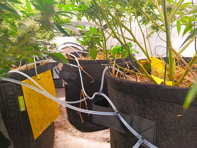 Growreport Bild 9