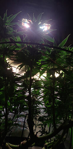 Growreport Bild 13