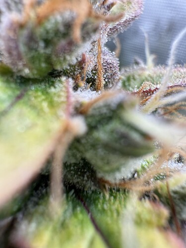 Growreport Bild 24