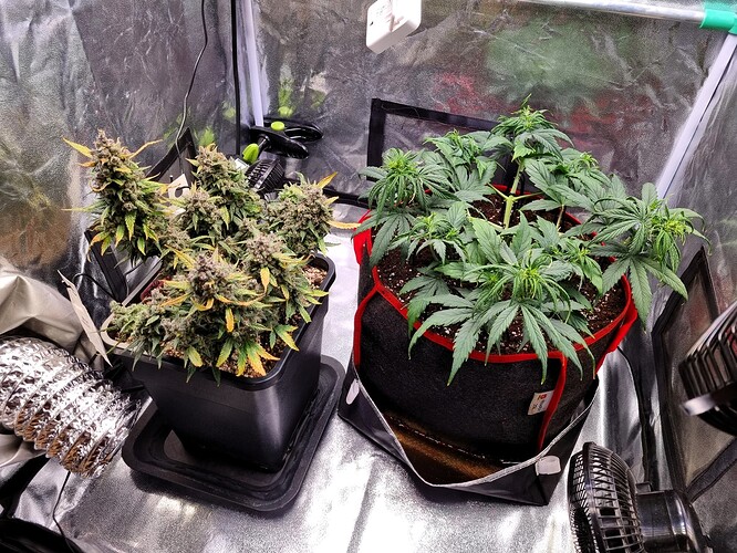 Growreport Bild 6