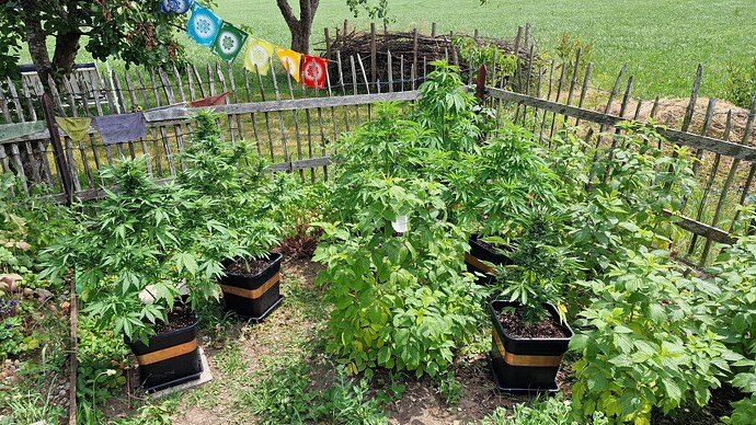 Growreport Bild 17