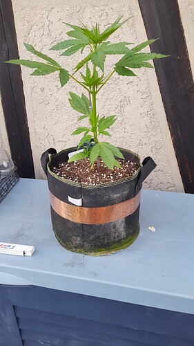 Growreport Bild 26