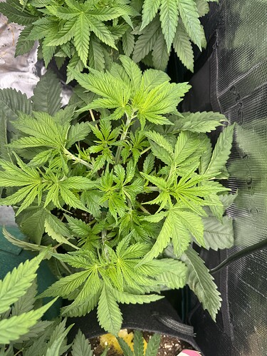 Growreport Bild 2