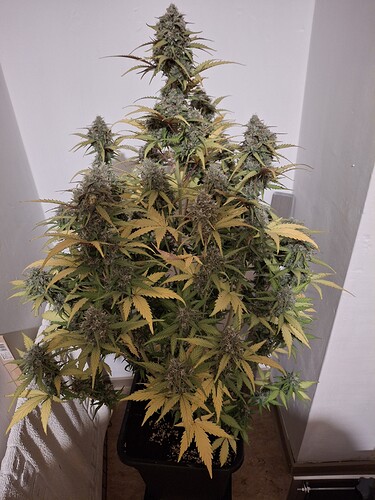 Growreport Bild 4